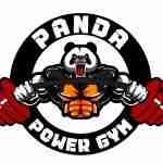 Panda Power Gym